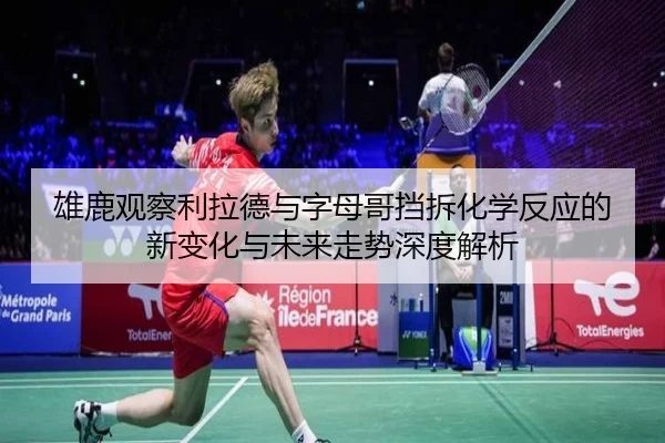 雄鹿观察利拉德与字母哥挡拆化学反应的新变化与未来走势深度解析